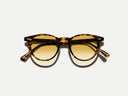 Moscot Jared Sun